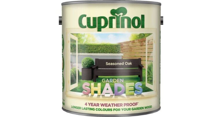 Outdoor Wood Paint: Complete Informative Guide to Protection, Performance, and Smart Buying