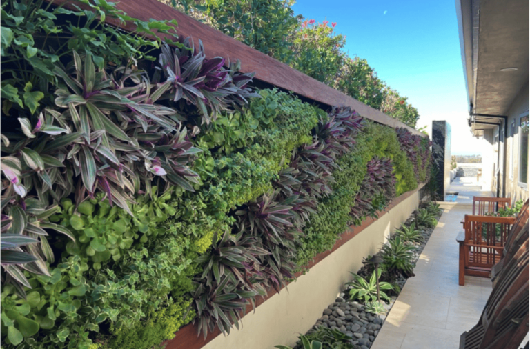Outdoor Living Wall Systems: Transform Your Space with Vertical Gardens